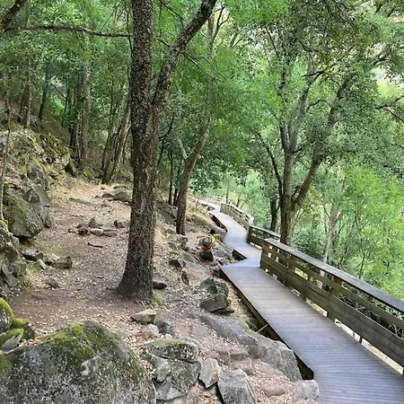 וילה Real I By Mycelia