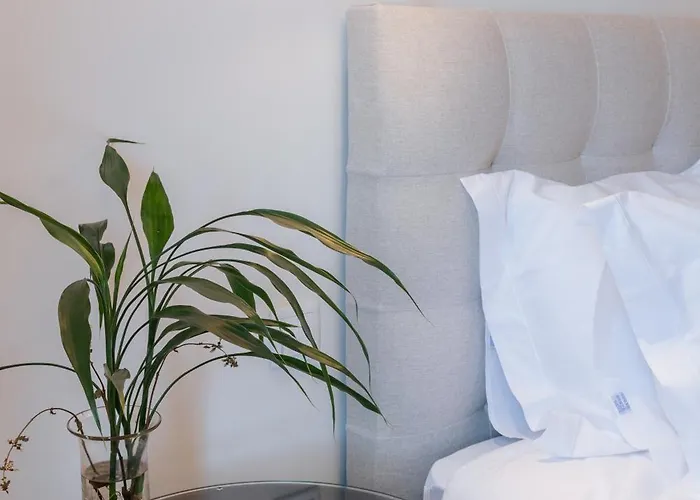 Villa Real I By Mycelia *