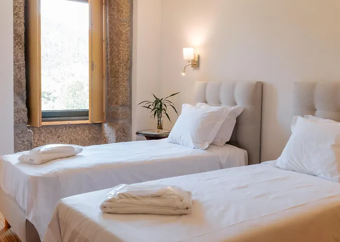 Villa Real I By Mycelia