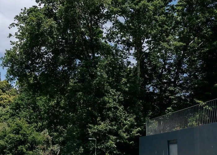 Villa Real I By Mycelia