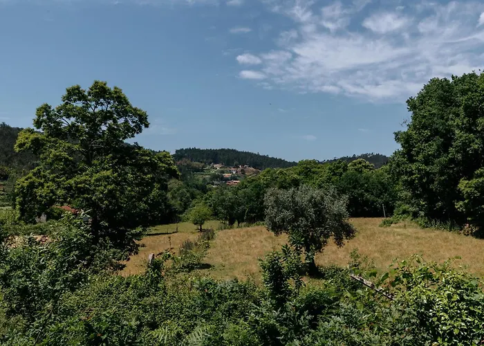 Villa Real I By Mycelia *