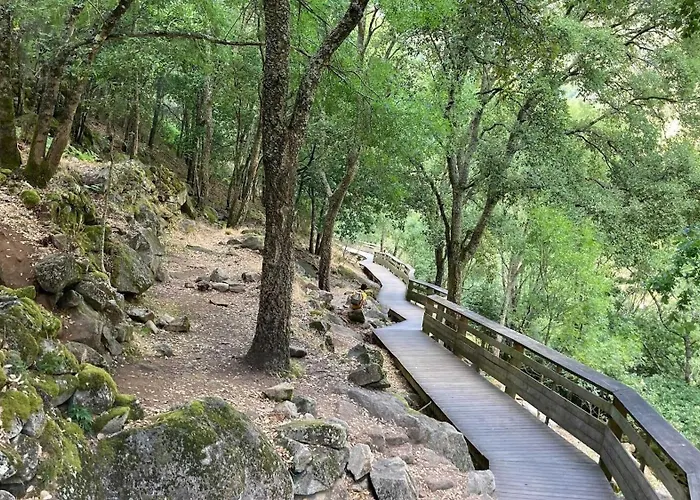 Villa Real I By Mycelia